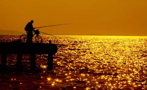 Guía de pesca en los mares de Turquía Guía de pesca en los mares de Turquía