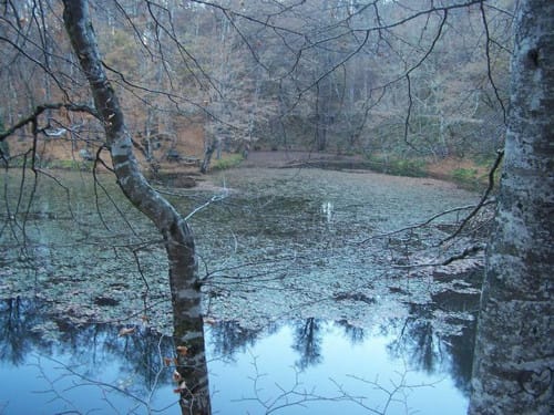 Yedigöller, el parque de los siete lagos